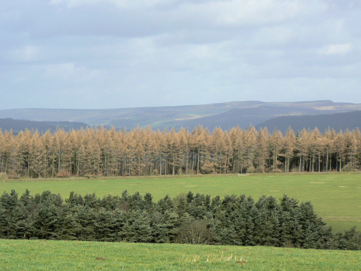 Stanage Edge Stanage Edge